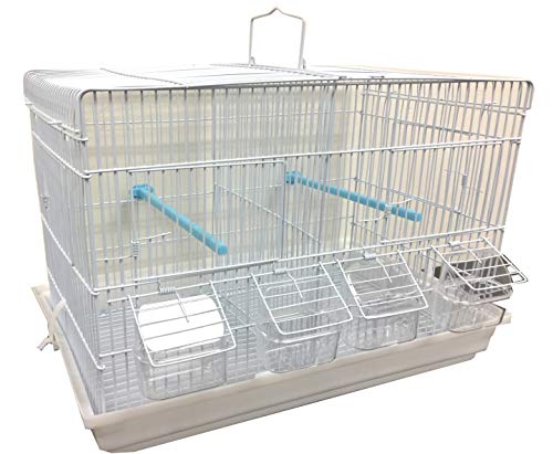 Aviary Finches Canaries Breeder Breeding Bird Travel Carrier Cage with Center Divider (Lot Four Cages) - size: Lot Four Cages