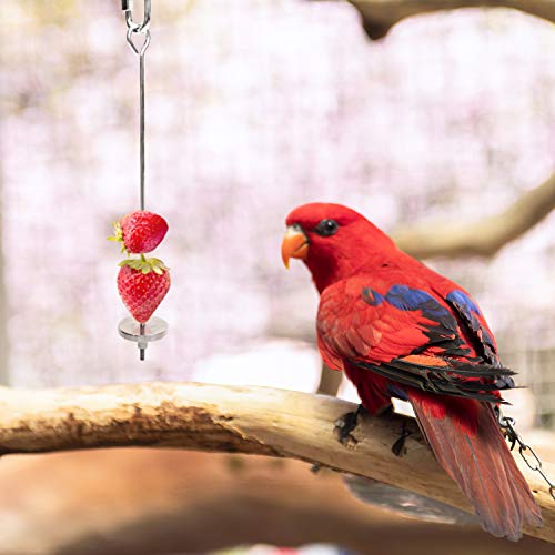 Stainless Steel Bird Food Holder, Parrot Foraging Toy, Hanging Basket, 9.84 in L, 7.87 in W, 82g Weight, Activity Clasp, Fits 12oz Bottle - color: Basket
