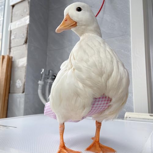 Duck Diapers, Chicken Diapers, Special Diapers for Poultry, Chicken, Duck and Goose Waterproof, Adjustable, Washable and Reusable Diapers，Poultry Supplies, Duck Supplies (0.99LB-1.32LB)