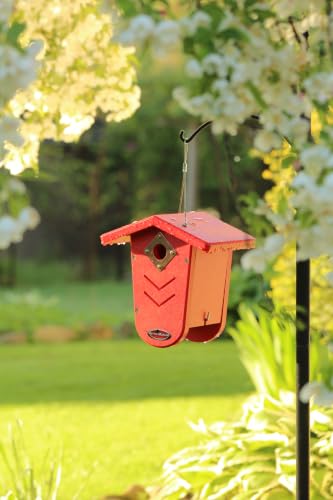 Recycled Moraine Bird House Nest Box for Wrens & Chickadees (Red/Red) - color: Red/Red