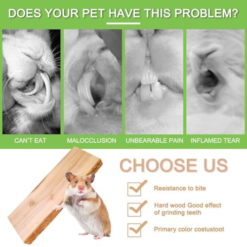 2Pcs Hamster Ledges Wooden Platform 2.6 x 6 Inch Rat Climb Platform Shelf Bird Perch Stand Toys Cage Accessories for Rat Gerbil Suger Glider - size: 6 × 2.6''