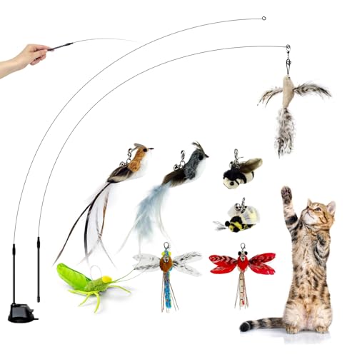 TTcat Suction Cup Cat Toy Wand, 2 in 1 Handheld & Free Standing Interactive Cat Teaser with 8 Pcs Replaceable Feather Bird Insect Refills, Long Flexible Wire Cat Wand Toy for Indoor Cat Self Play. - color: Luxury Suction Toys (8 Refills）