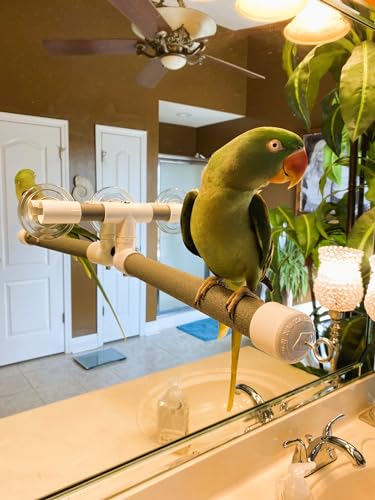 Polly's Portable Window-Shower Perch with Suction Cups for Cockatiels, Macaws, African Greys (Deluxe, Large) - size: Large
