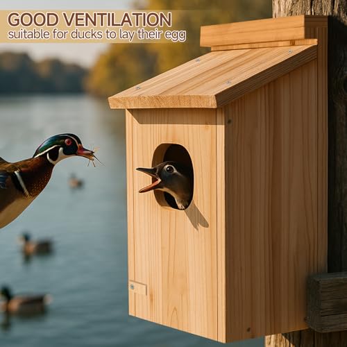 2 Pack Duck House, Wood Duck Houses for Outside Duck Hanging Nesting House Box Outdoor Shelter for Pond, Wetland Ducks and Hooded Mergansers - color: 2 Pack, size: 17"H x 10"W x 10"D