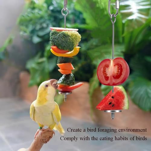 2pcs Hanging Bird Treat Skewer Parrot Fruit Feeder, 5.9 Inch Stainless Steel Bird Food Holder Parrot Fruit Food Skewer with Washer Nut Parakeet Treat Holder Feeder for Parrot Budgie Conure, LXLVOUEG - size: Screw-5.9inches-2P