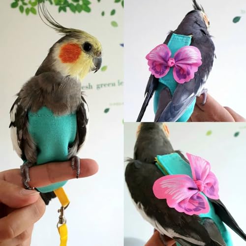 Pet Bird Diaper Harness Adjustable Parrot Harness and Leash Set Cockatiel Flight Suit with 60 Inch Leash Bow Tie Bird Flying Clothes for Conures Cockatoos Cockatiel Pigeon(Pink, Medium) - color: Pink, size: Medium