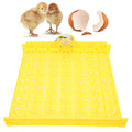 Automatic Egg Turner, 110V Swing Around 45 Degrees to Turn the Egg Tray Egg Hatching Tray 56 Eggs Fully Automatic Incubator(110V) - color: 110V