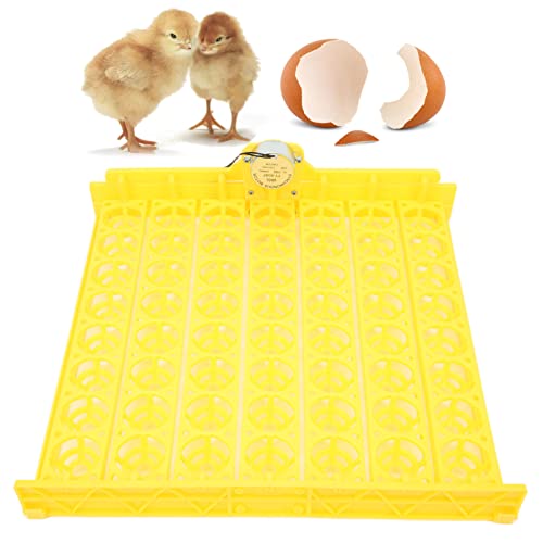 Automatic Egg Turner, 110V Swing Around 45 Degrees to Turn the Egg Tray Egg Hatching Tray 56 Eggs Fully Automatic Incubator(110V) - color: 110V