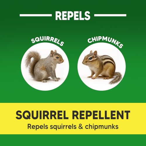 AUDQQM Squirrel Repellent Outdoor, Chipmunk Repellent for Garden, Squirrels Deterrent, Keep Squirrels Away from Yard, Attic & Bird Feeders, Lasting for 3 Month, Easy to Use, 8 Count - size: 1.0 Ounce (Pack of 8)
