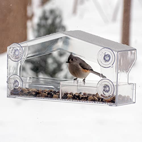 Perky-Pet Clear Outdoor Window Bird Feeder with Strong Suction Cups – 1 Lb Seed Capacity - Perky Pet 347 - Entertaining Bird Feeding - Great Gift Idea, Outdoor Decor - size: 1 LB Capacity