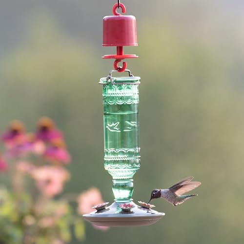 Perky-Pet Glass Bottle Hummingbird Feeder - Outdoor Garden Décor Humming Bird Feeder,8108-1SR - 10 Fl Oz Nectar Capacity - Durable Green Antique Design - Hang from Tree,Porch,Deck,Hook,(Pack of 6) - style: Green Bottle (Pack of 6)