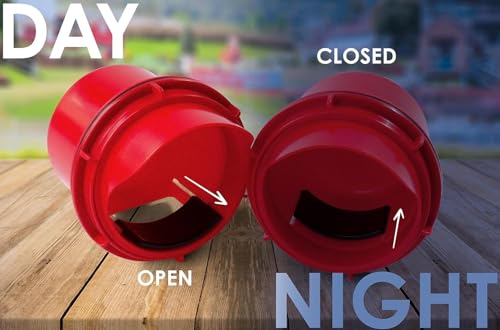 RentACoop Chick2Chicken 10lb Feeder & 2 Gal Waterer Set - 2025 Version - size: Without Stand