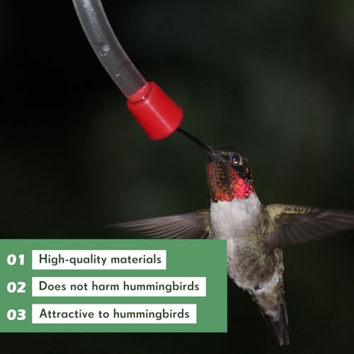 10 Pcs Hummingbird Feeder Tubes and Stopper Replacement Parts Humming Bird Feeder Tube Make Your Own Dispenser Outside Water Dispenser Tubes Stoppers for Wine Bottle Outdoor