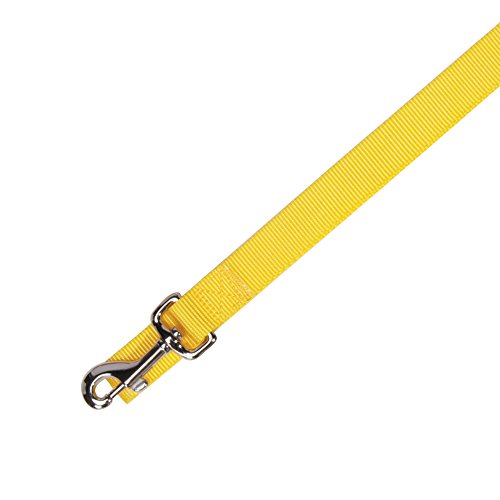 Zack & Zoey Basic Nylon Dog Leash, 4-Feet x 5/8-Inch Lead, Yellow - color: Yellow, size: 4-Feet x 5/8-Inch Lead