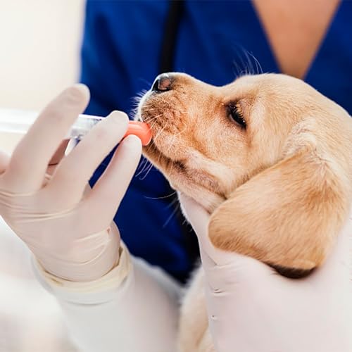 Baby Bird Feeding Syringe Kit,Hand Feeding Syringe for Birds,Pet Syringe Feeding Tool, Parrot Feeding Tubes Set for Small Baby Birds Pet Kittens (B) - color: B