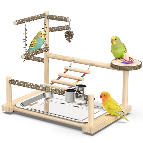 Bird Playground, Parrot Playstand Cockatiel Playground, Bird Play Stand with Feeder Cups, Swings, Ladder and Removable Tray, Parrot Perch Stand for Parakeet Conure Lovebird Budgie - size: 2 layer T2