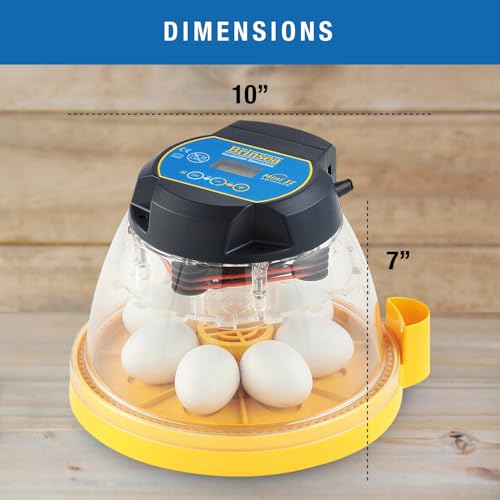 Brinsea Mini II Advance Incubator with Automatic Turner for Hatching 7 Eggs | 50+ years of expertise! Set-and-forget automatic incubator with digital countdown gives your eggs the best chance to hatch - size: 7 Eggs