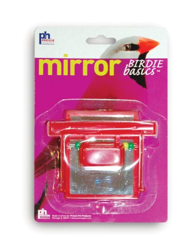 Prevue Hendryx Birdie Basics Perch Mirror with Beads Bird Toy, 4" x 3.5" (60424), Red (Package May Vary)