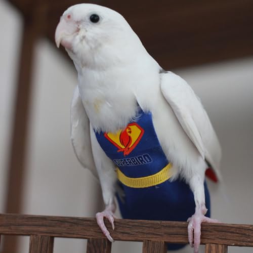 Parrot Flight Suit Diaper (Without Leash) - Reusable Bird Diaper for Budgies, Lovebirds, Cockatiels, and More - Fabric Bird Suit (Blue Superman-M) - size: Blue superman-M