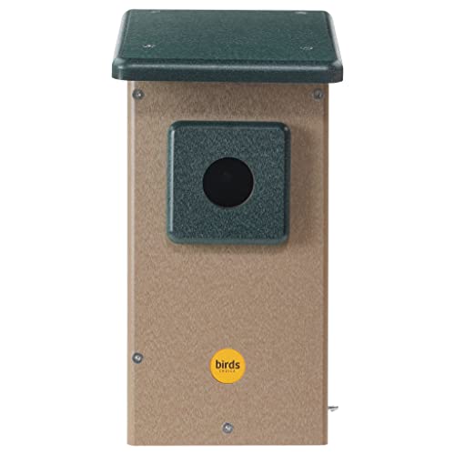 Birds Choice Eastern Bluebird House, 1.5625" Hole | Taupe & Green - color: Taupe (1.5625")