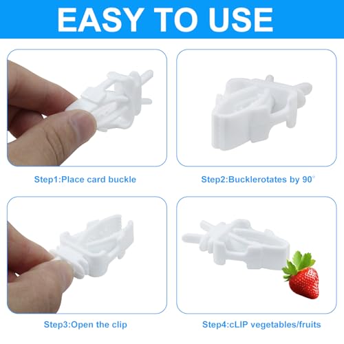 Zorfeter Bird Cage Food Holder, 6 Pack | Fruit Clip Vegetable Clip Feeder Clip, Parrot Cage Clip, For Budgie Parakeet Cockatoo Macaw Cockatiel Conure