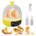 Tissting 4-Egg Mini Incubator with Transparent Lid | 7W Power & Humidity Control | Clear Viewing Window | Auto Egg Turning | for Chicken, Duck, Quail, Pigeon(Auto Turning) - color: 4 Eggs Auto Turning