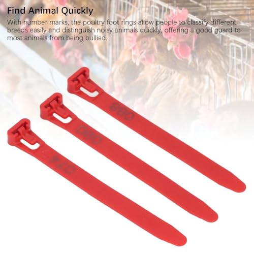 100Pcs Numbered Poultry Leg Rings 1-100 Identification Tags Reusable Bands for Chickens Ducks Geese Pigeons(Red) - color: Red