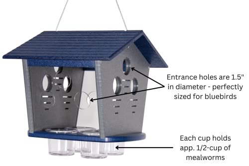 Ultimate Enclosed Bluebird Feeder - Keeps Starlings and Bully Birds Out - Holds 2 Cups Dried Mealworms