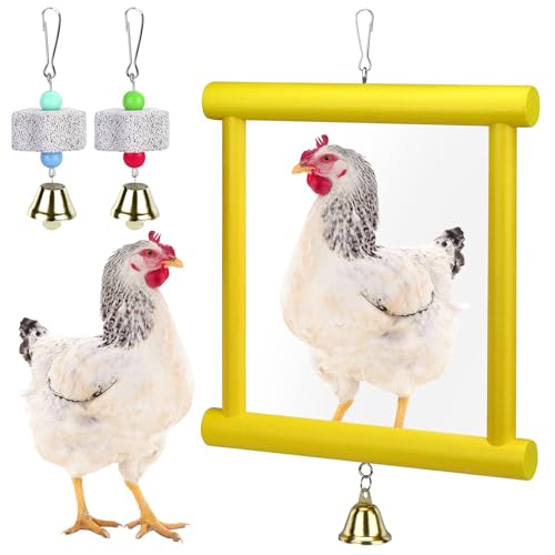 1 Pcs Chicken Mirror Toys Large 12x10 Inch Hanging Swing Mirror with Bell | Wooden Pecking Toy and 2 Pieces Beak Grinding Molar Stones for Hens Birds Parrots Coop Roosters(Yellow)