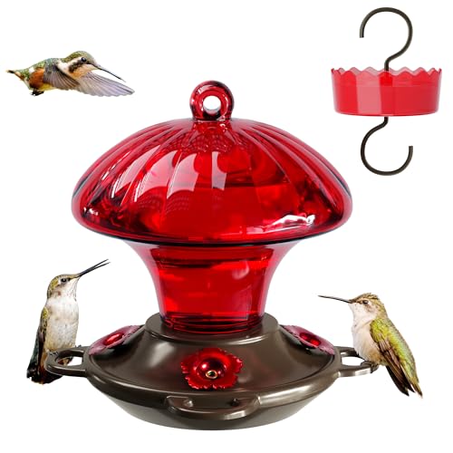 Auslar Glass Hummingbird Feeders for Outdoors Hanging, Red, 15 Oz | Hummingbird Feeder with Ant Moat & 4 Anti-Bee Feeding Ports, Ant and Bee Proof, Leakproof, Easy Clean and Fill, Garden Decor - color: Red