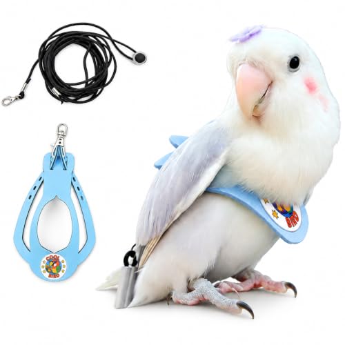 Bird Harness and 3M Elastic Flight Leash, Adjustable Parrot Harness for Budgies, Parakeets, Lovebirds, Cockatiels, Conures, Quaker Parrots, Pigeons(Blue, XS) 6350-17 - color: Light Blue, size: XS,for Lovebirds and similar size