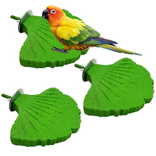 3 Pcs Parrot Perch Resin Bird Beak Grinding Stone Leaf Shape Perch Stand Foot Clawing Trimmer Bird Cage Accessories for Cockatiels Conures Budgies Lovebirds (Green) - color: Green, size: Ginkgo leaves