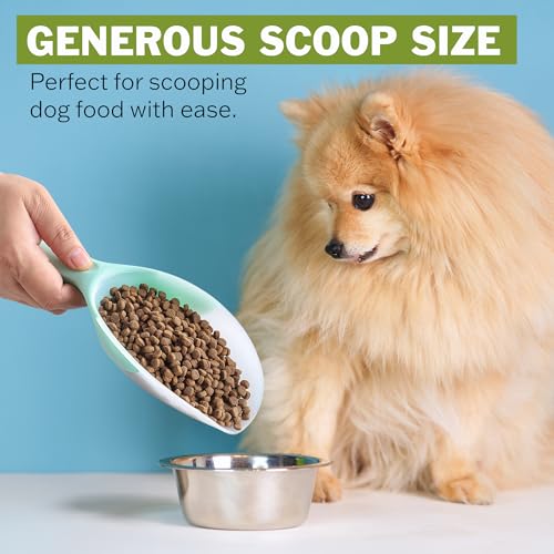 Spring Chef Magnetic Ice Scoop for Freezer, BPA-Free Food Scooper, Mint | Flexi-Plastic Popcorn Scoop with Soft Grip Handle - Dishwasher Safe Ice Scooper - Food Scooper for Flour, Grains, Pet Food - color: Mint