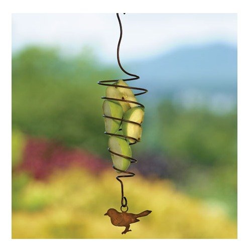 Bird Fruit Spiral Spear, Brown
