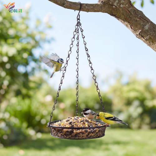 Hanging Bird Feeder, Platform Feeders for Outdoors, Metal Mesh | Black, Rust-Proof, Durable Platform Feeders for Garden Decoration, Great for Attracting Wild Birds, Gift for Bird Lovers