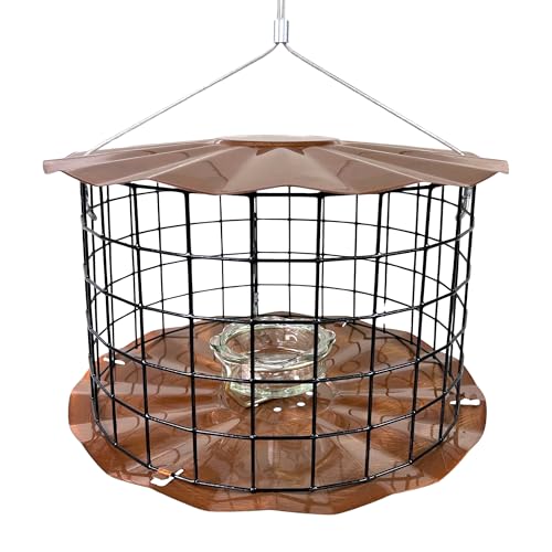 Starling-Proof Barrier Guard Bluebird Feeder with Glass Mealworm Cup - Premium Copper Finish - Made in USA (BBF1C)