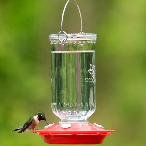 Ruby Roost Recycled Glass Hanging Glass Hummingbird Feeder for Outdoor Décor, 17 Ounce Capacity Nectar Feeder, 4 Removable Easy Clean Ports, Clear - style: Ruby Roost