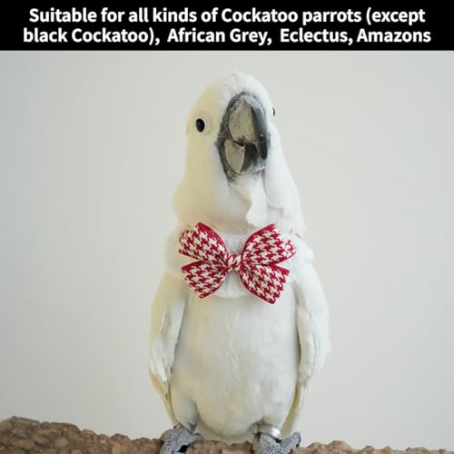 Bird Collar, Bird Clothes, Parrot Bird Supplies, Cute Collar for Medium and Large Birds Eclectus Cockatoo African Grey Amazon Bow Tie Scarf Super Cute Costume Photo Prop for Parrots (Necktie) - style: Necktie