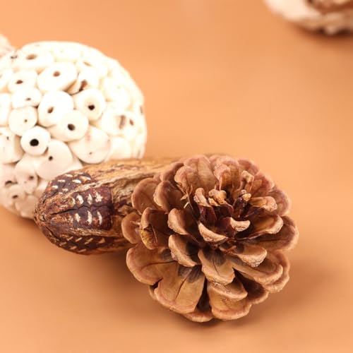 Bird Chew Toy for Pet Bird Parrot Sola Ball Natural Nuts Pinecone Chewing Toy for Small Parakeet Cockatiel Conures Finch Budgie (S) - size: S