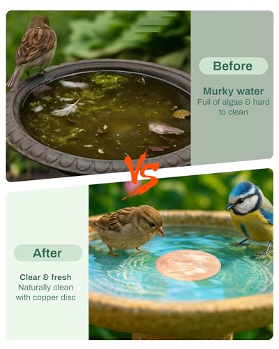 OICEME Bird Bath Purification Disk Pure Copper Outside Winter Solar Power Birdbath Hanging Bowl Pedestal Humming Feeder Fountain Cleaner Outside Dispenser Heater Garden Small Large Accessories 4pcs - color: Copper 4PCS Flowers＆Birds
