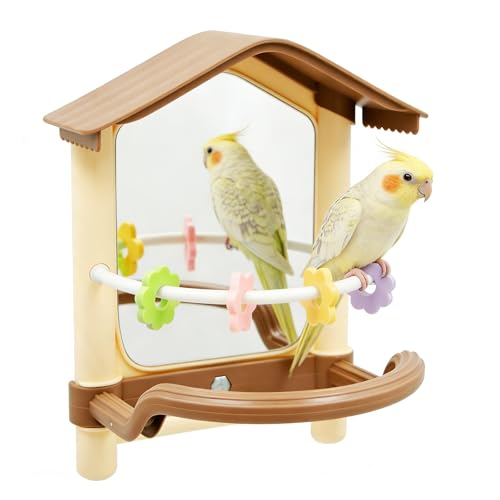 Bird Mirror for Cage, Acrylic Mirror with Plastic Perch and Chew Toys, Parakeet Cage Accessories, Bird Toys for Budgies, Cockatiels, Lovebirds, Green Cheeks, Small to Medium Birds
