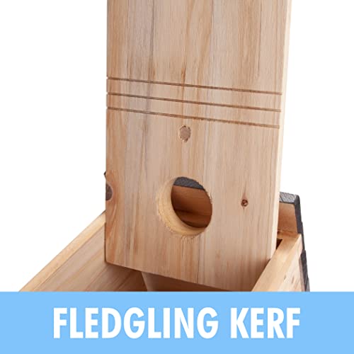 CARTMAN 0.5 Inch Thick Blue Bird Box House, Wood Bird Houses for Outside, Hummingbird House for Outside Clearance Garden Country Cottages, 2PK - style: Mailbox 2pk