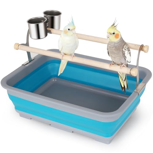 Bird Desktop Training Perch Stand with Washable Plastic Tray, Large Size for Parakeet, Budgie, Cockatiel, Conure, Long Tail Parrot, Collapsible Design (Blue, Large)