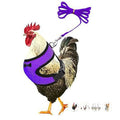 Chicken Harness and Leash Set,Duck Harness Adjustment Mesh, Purple L | breathable mesh harness,adjustable straps,sturdy leash,fit chicken,duck,goose,rooster,parrot,kitten,tiny dog training walking - color: Purple, size: L( Chest 19.7-27.6")