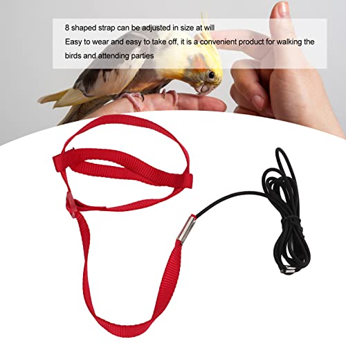 Elastic Parrot Harness Leash Bird Leash Bite Proof Harness Adjustable Parrot Flying Training Rope with Metal Hook Nylon Webbing for Cockatiels Walking (L) - size: L