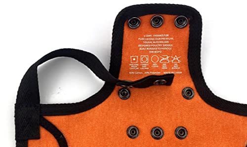 DOWN UNDER OUTDOORS Extra Large Big Chicken Saddle Hen Apron (Orange) | Adjustable Straps, Chicken Apron, Poultry Saver, Pet Supplies, Including Shoulder Cover, 14 oz Breathable Cotton Canvas - color: Orange