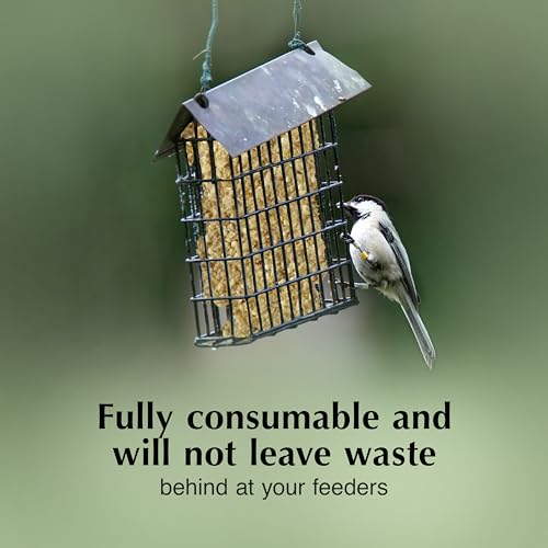 C&S Pecan Delight No Melt Suet Dough, Suet Cakes for Wild Birds Including Nuthatches, Woodpeckers, Chickadees and More, 11.75 Ounces, Pack of 8 - size: 1.47 Ounce (Pack of 8), style: Pecan, 8 Pack
