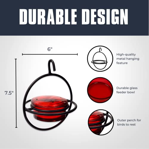 Monarch Abode Hanging Hummingbird Feeders for Outdoors – Single Handcrafted Hanging Glass Hummingbird Feeder with Red Bowl & Perch, Decorative Humming Bird Feeders for Outdoors Garden Patio Deck - color: Black, style: Red Glass Hummingbird Feeder