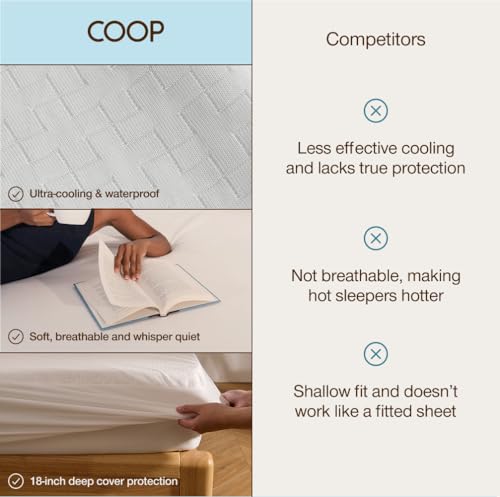 Coop Home Goods Ultra-Cool Waterproof Mattress Protector, Queen, Cooling Mattress Protector, Machine Washable Cooling Bed Cover, Whisper Quiet Waterproof Bed Cover, Queen (60x80) - size: Queen, style: Ultra-Cool