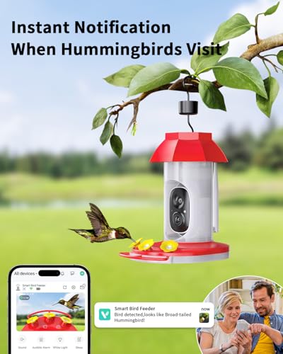 Smart Hummingbird Feeder with Camera, Solar Powered, AI Recognition | Bird Watching Camera for Outdoors, Live Videos, Ant Moat, Bee Proof, Nature Gifts for Bird Lovers - color: Red